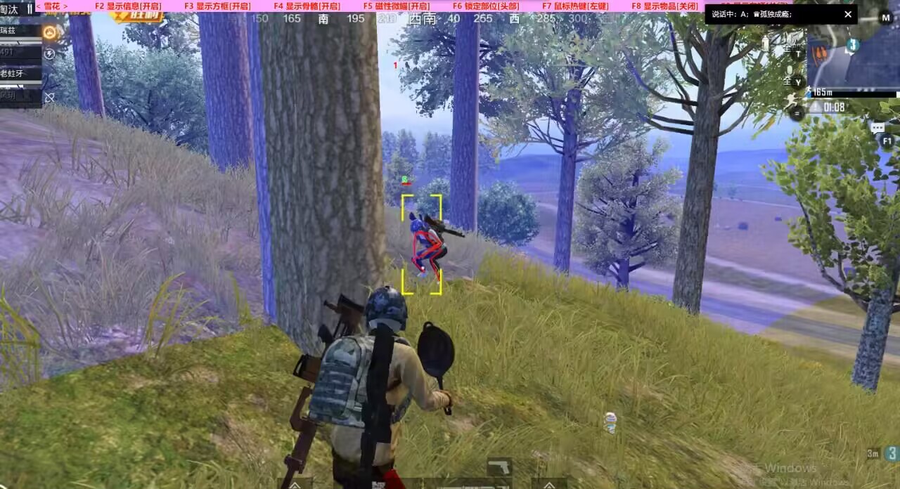 和平精英「雪花」直装辅助